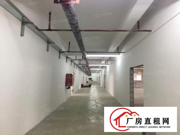  塘坑地铁口厂房办公招租100至2800平方（大小均有）