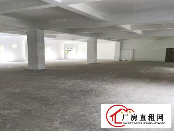  安良独门独院厂房12800平方大小可分租