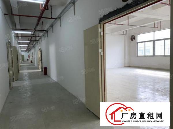  六约88平120平138平200平300平已隔墙水电现成