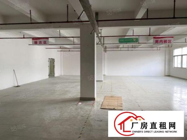  六约88平120平138平200平300平已隔墙水电现成