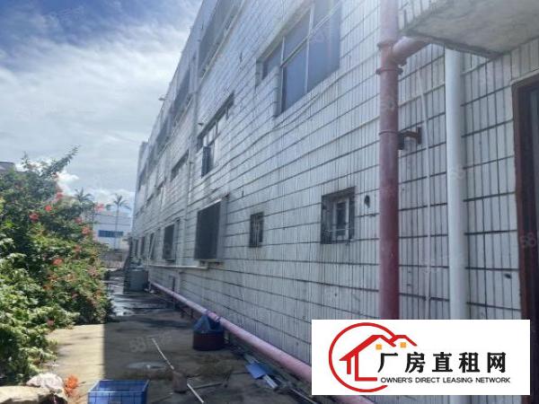  横岗大康独栋厂房共两层3300平方