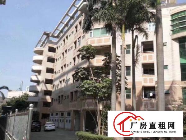  六约珠宝厂房可办环评500到1500平，免租期两个月
