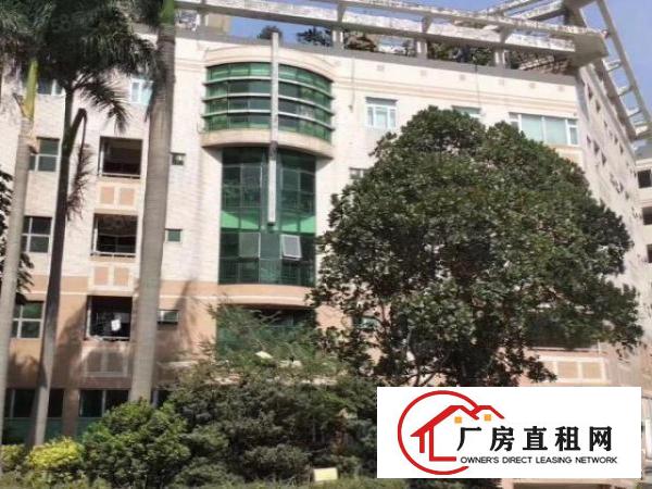  六约珠宝厂房可办环评500到1500平，免租期两个月
