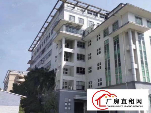  六约珠宝厂房可办环评500到1500平，免租期两个月