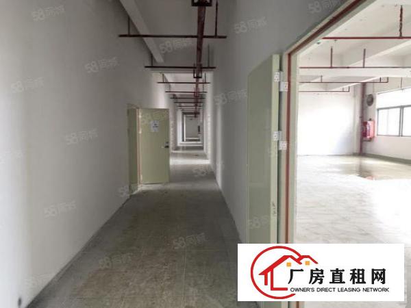  六约珠宝厂房可办环评500到1500平，免租期两个月