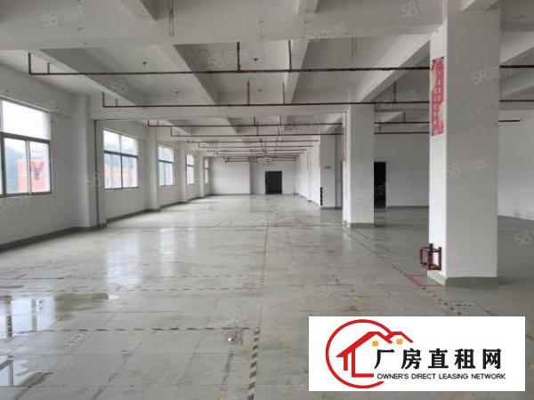  六约珠宝厂房可办环评500到1500平，免租期两个月