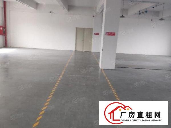  厂房方正，釆光通透，现成办公室装修，给钱就租。