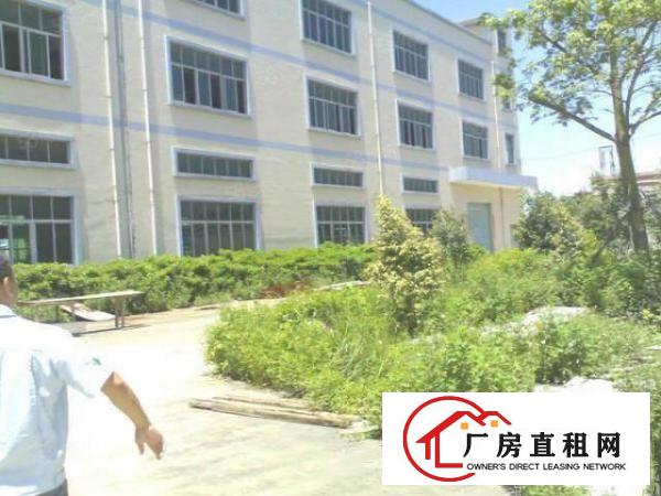  横岗地铁口一二楼450平米800平带装修厂房