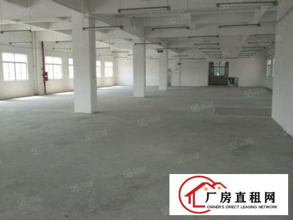  横岗沙河路边村委厂房独门独院12600平方出租