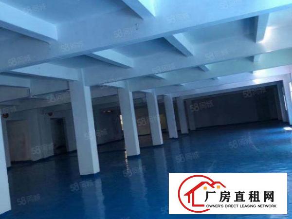  横岗安良小独院出租