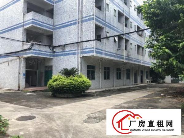  荷坳地铁站附近独院厂房实际面积出租空地大形象好有装修