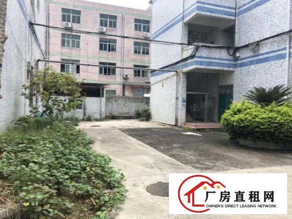  荷坳地铁站附近独院厂房实际面积出租空地大形象好有装修