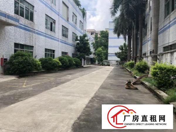  荷坳地铁站附近独院厂房实际面积出租空地大形象好有装修