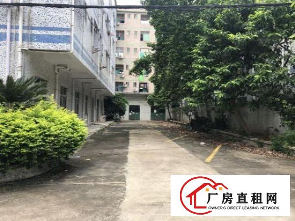  荷坳地铁站附近独院厂房实际面积出租空地大形象好有装修