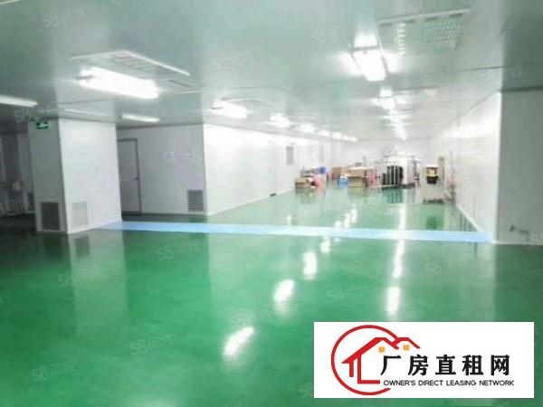  横岗新出原房东1266平方精装修厂房出租