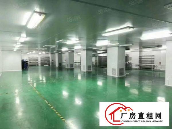  横岗新出原房东1266平方精装修厂房出租