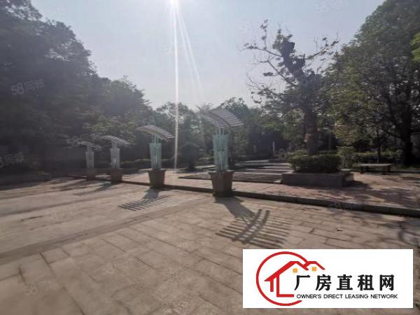  横岗园山养老院出租，合同可签15年，绿化面积30000平