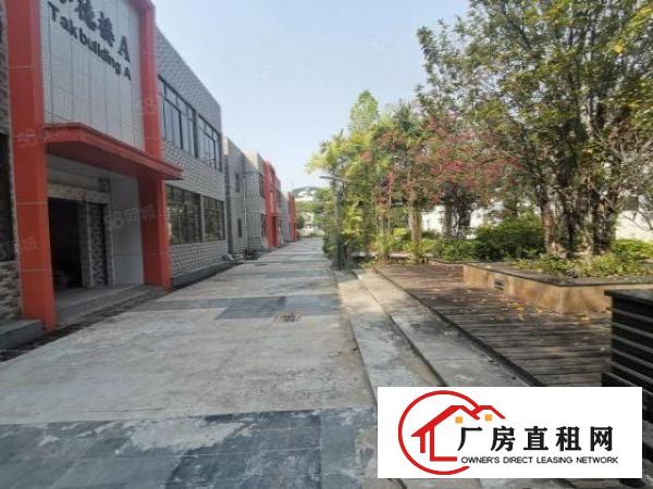  横岗园山养老院出租，合同可签15年，绿化面积30000平