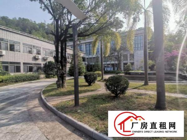  横岗园山养老院出租，合同可签15年，绿化面积30000平