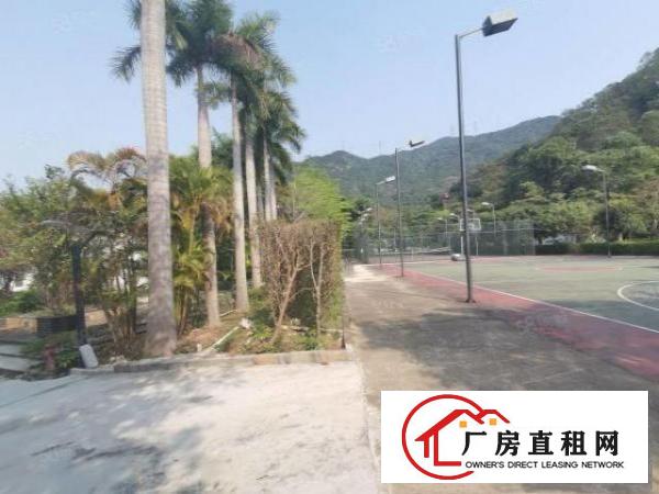  横岗园山养老院出租，合同可签15年，绿化面积30000平