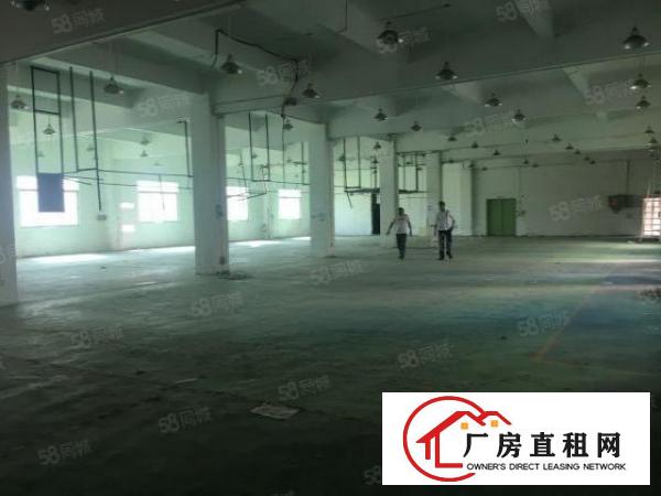  安良原房东4200平方独院厂房出租