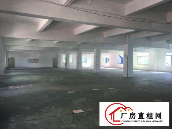  安良原房东4200平方独院厂房出租