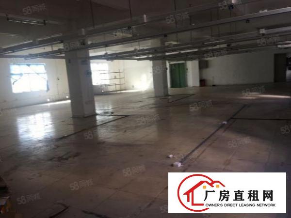  安良原房东4200平方独院厂房出租