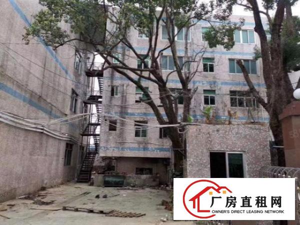  安良原房东4200平方独院厂房出租