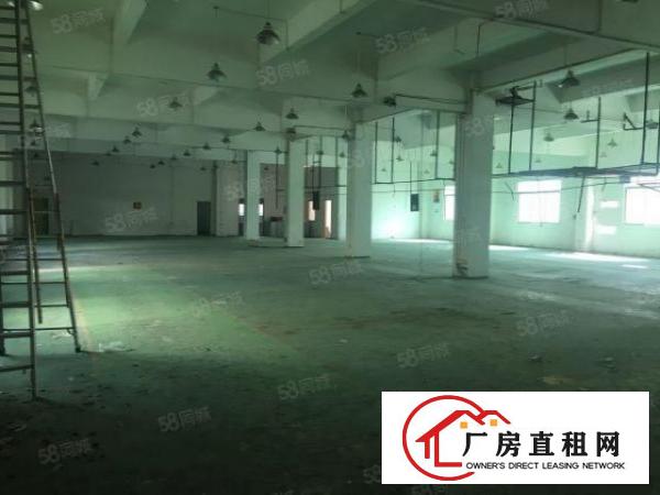  安良原房东4200平方独院厂房出租