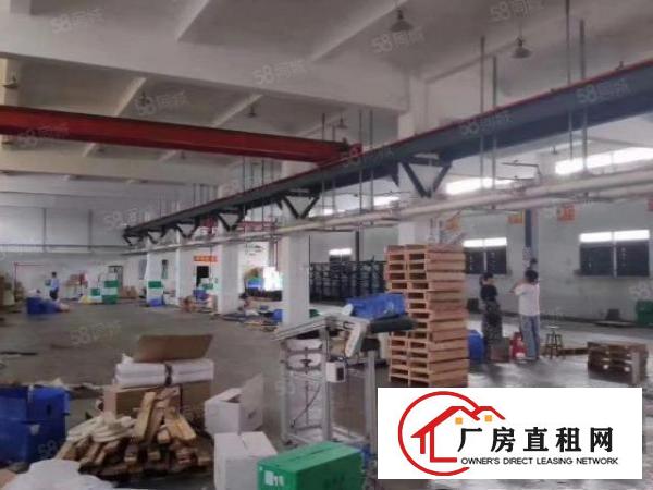  大康，安良，大量大小厂房出租
