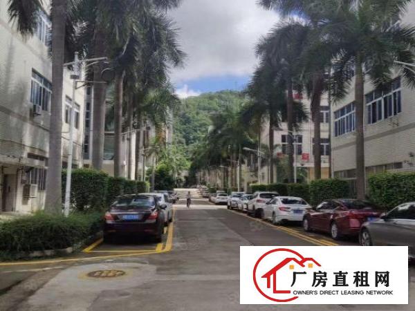  大康，安良，大量大小厂房出租