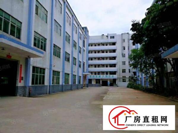  横岗横坪公路独院4层3100平一手房东厂房，可做仓库，可分租