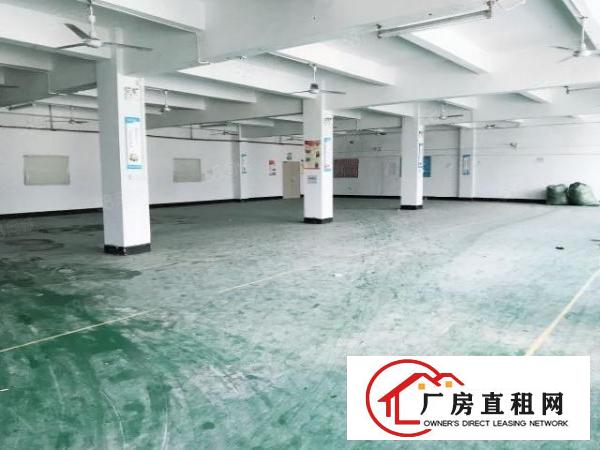  横岗横坪公路独院4层3100平一手房东厂房，可做仓库，可分租