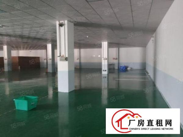  新空出2000平米，可分租，有红本可办环坪，500起租