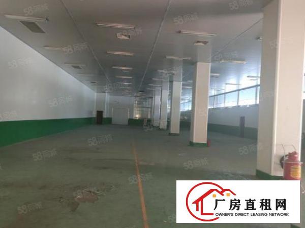  新空出2000平米，可分租，有红本可办环坪，500起租