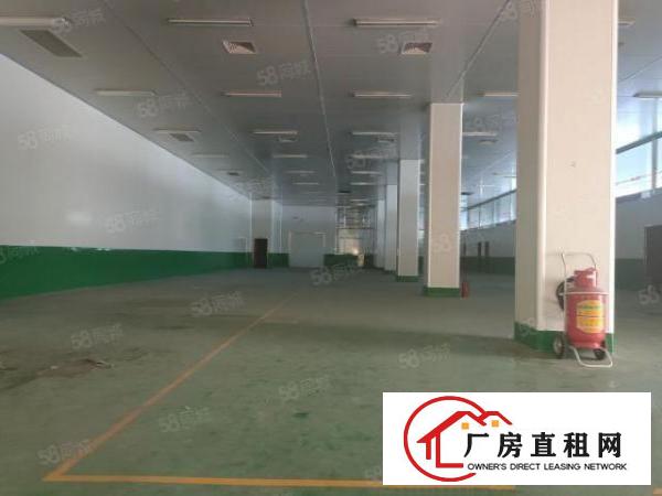  新空出2000平米，可分租，有红本可办环坪，500起租