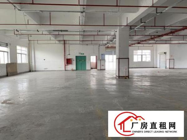  六约业主直租免中介100平200平300平包隔墙水电到户