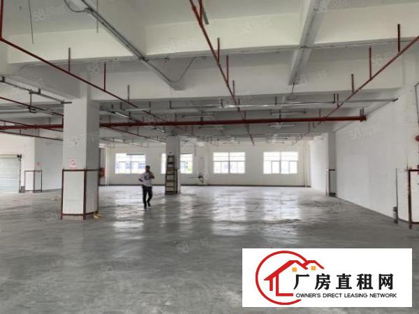  六约业主直租免中介100平200平300平包隔墙水电到户