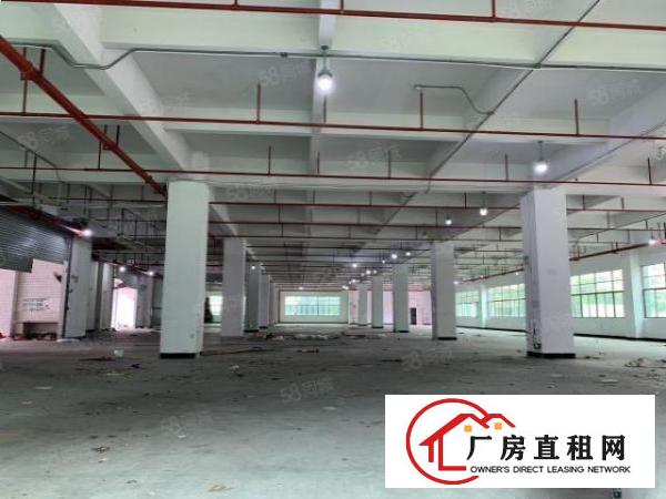  六约业主直租免中介100平200平300平包隔墙水电到户