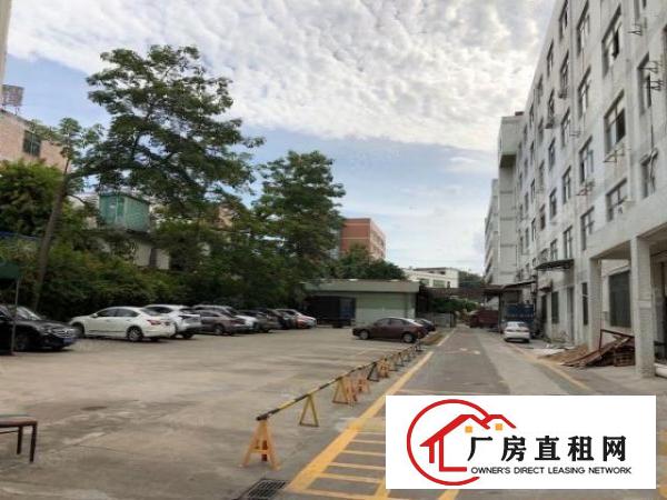  六约业主直租免中介100平200平300平包隔墙水电到户
