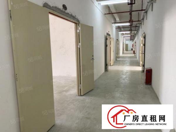  六约业主直租免中介100平200平300平包隔墙水电到户