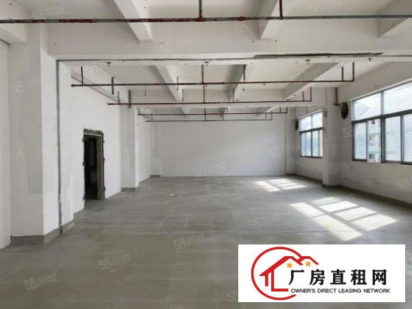  六约业主直租免中介100平200平300平包隔墙水电到户