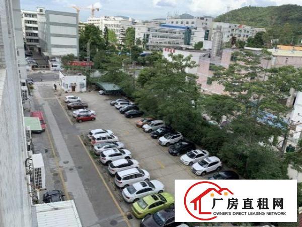  六约100平150平200平500平水电现成已隔墙