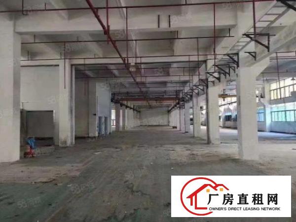  出租横岗一手房东一楼厂房1400平方出租，可分租