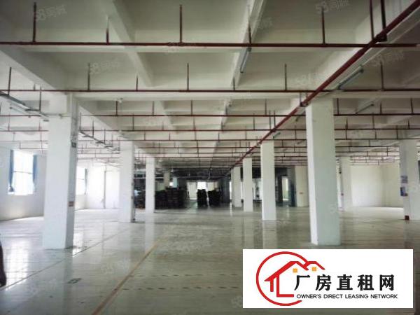  出租横岗一手房东一楼厂房1400平方出租，可分租