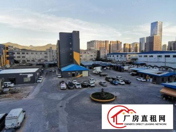  横岗四联社区智慧园4000平方出租大小可分租