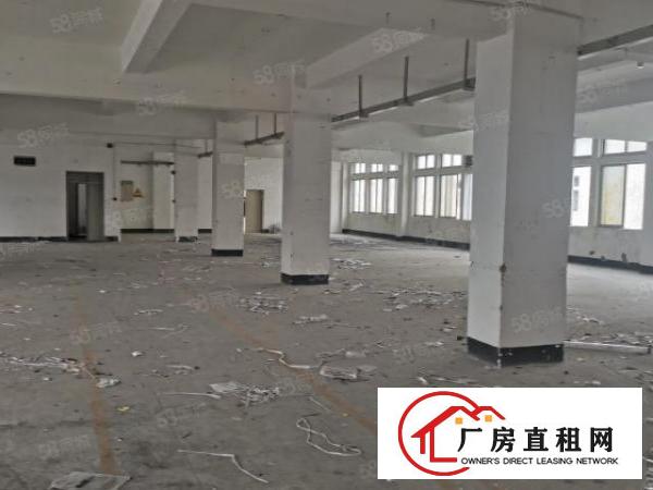  横岗四联社区智慧园4000平方出租大小可分租