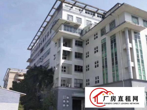  六约高雅眼镜厂房一楼2000平方出租可分租