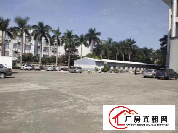  六约高雅眼镜厂房一楼2000平方出租可分租