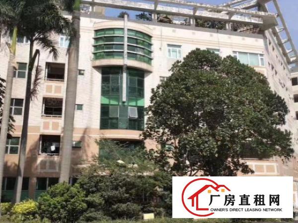  六约高雅眼镜厂房一楼2000平方出租可分租